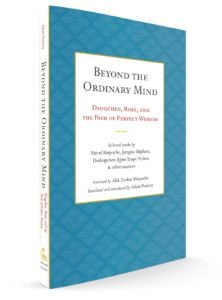 Beyond the Ordinary Mind