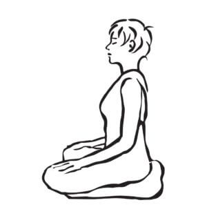 Path of Insight Meditation