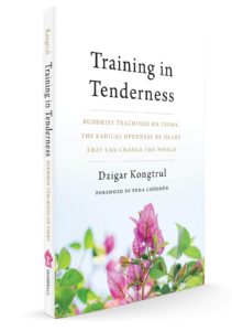Training in Tenderness