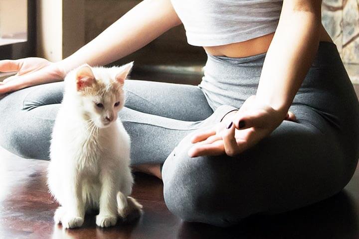 Living the Sutras | Free Yoga Class + Meditation Audio