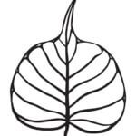 Flowers | An Excerpt from The Dhammapada