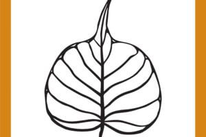 Flowers | An Excerpt from The Dhammapada