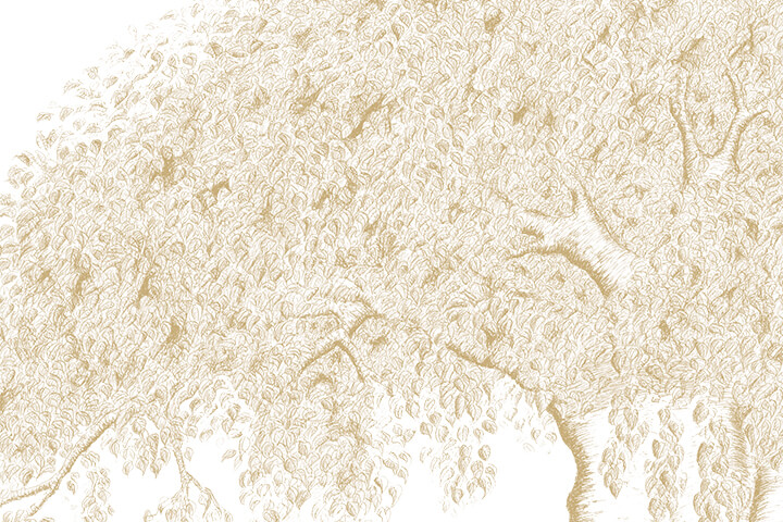 Lives of the Masters