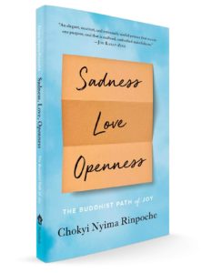 Sadness Love Openness