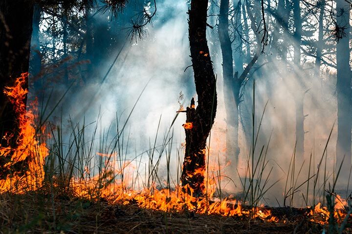 From Fire to Mud | A Journey Through the California Fires