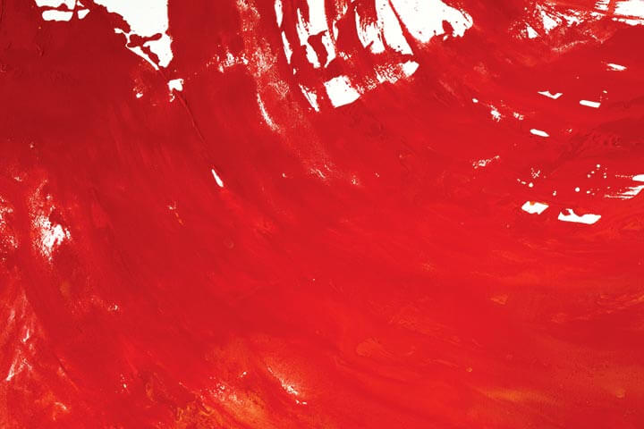 We Won’t Last Forever | An Excerpt from Let the Whole Thundering World Come Home