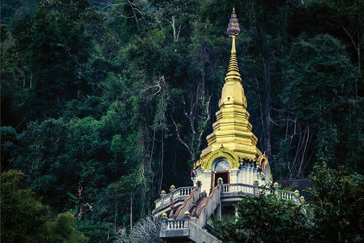 Temple Boy and Spitting Cobra | An Excerpt from In the Cool Shade of Compassion