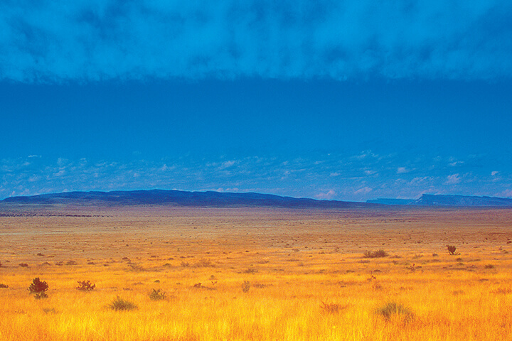 The Desert Knows | An Excerpt from Desert