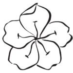 Remembering the Good within You | An Excerpt from Lovingkindness