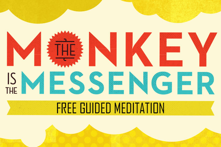 Free Download | A 15-Minute Guided Audio Meditation from The Monkey is the Messenger