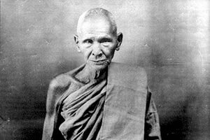 Elephants and Thai Monks | An Excerpt from In the Cool Shade of Compassion