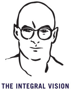 Integral Vision Integral Vision
