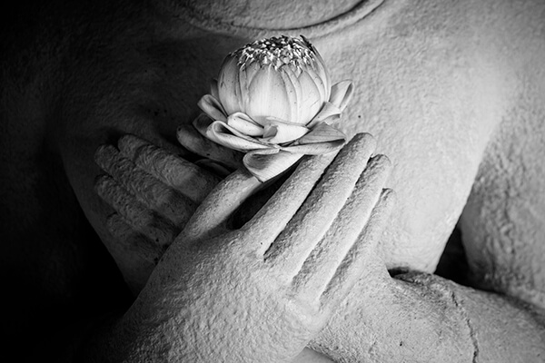 Buddha Nature: A Reader’s Guide