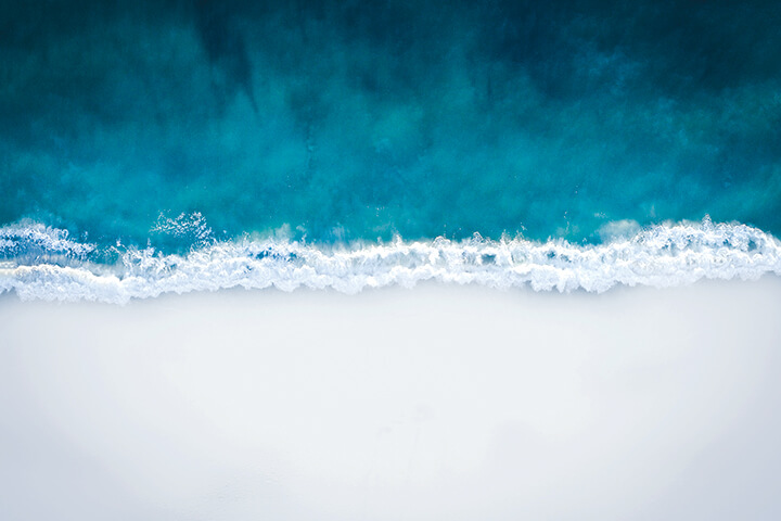 Free Video Series with Pema Chödrön