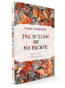 Wisdom of No Escape - 2018 Wisdom of No Escape