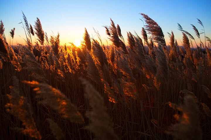 Bearing Witness | Social Distancing and Beyond