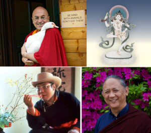 pema-teachers Buddhist teachers