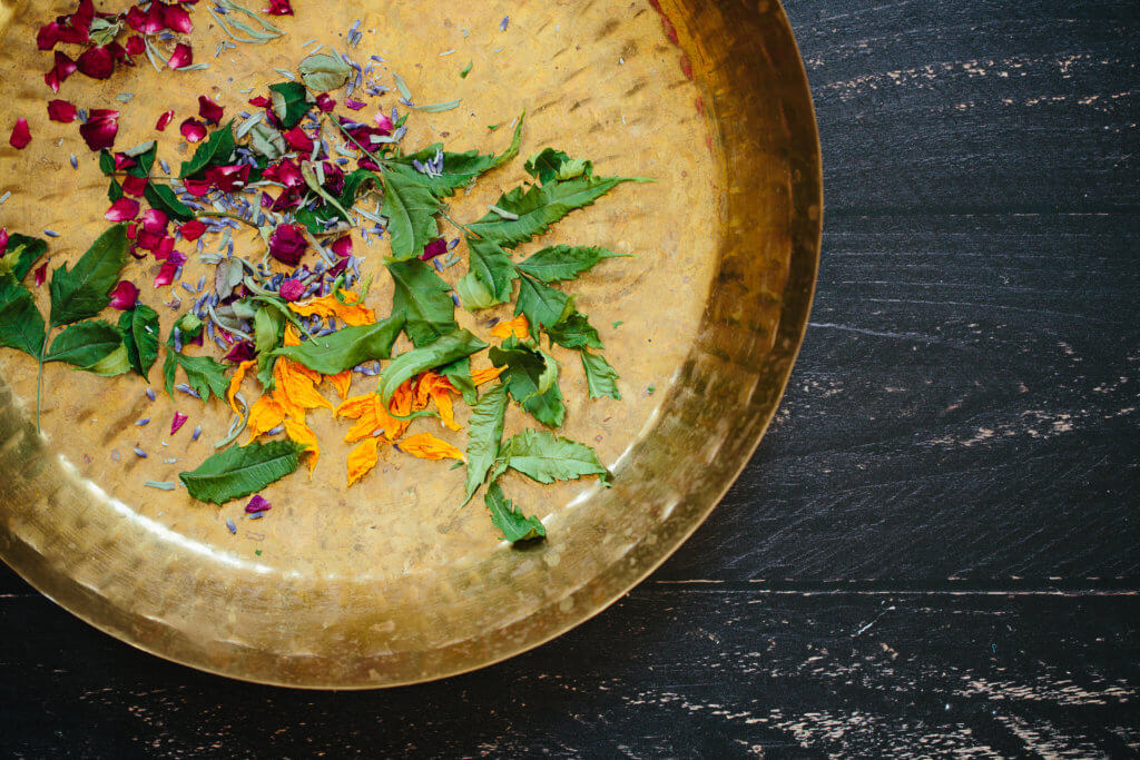 Ayurveda-Nature-SelfCare-01 The Everyday Ayurveda Guide to Self-Care