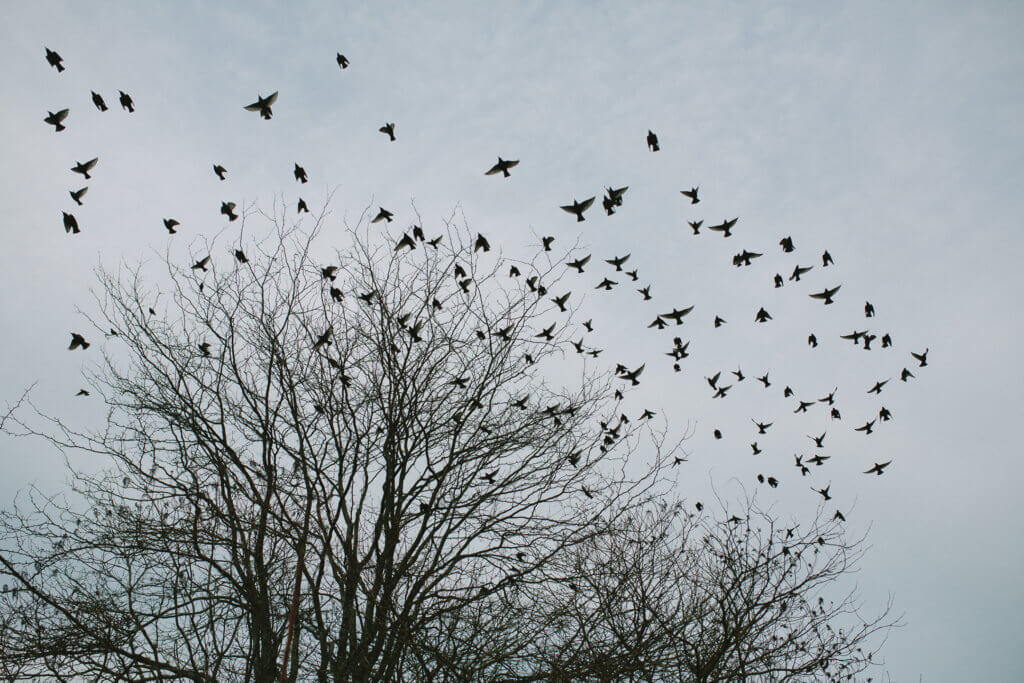 photo by Cara Brostrom The Everyday Ayurveda Guide to Self-Care