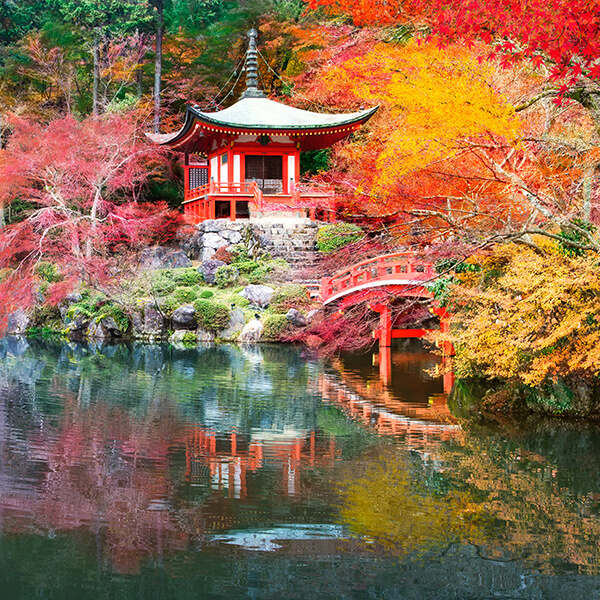 Zen Buddhism: A Reader’s Guide to the Great Works