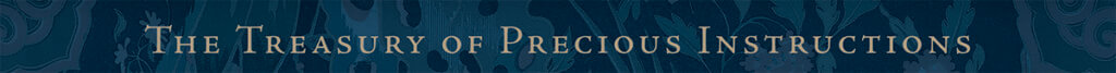 treasury of precious instructions
