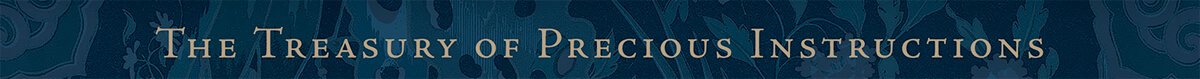 treasury of precious instructions
