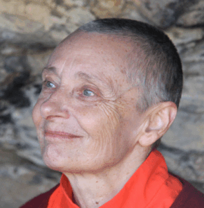 NEEDS REPAIR Jetsunma Tenzin Palmo on Patience On the Path