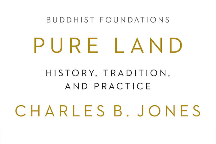 Pure Land Origins in China