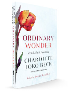 Ordinary Wonder Ordinary Wonder