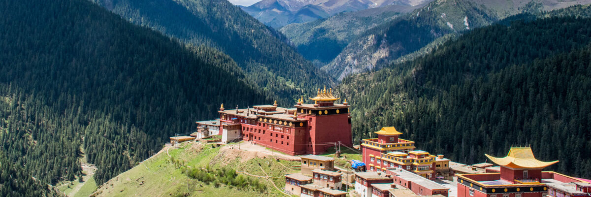 palpung-shutterstock_1188637222 (1)