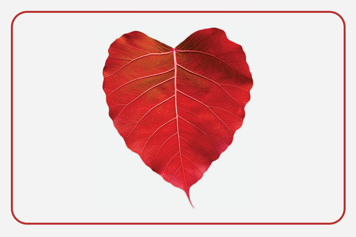 Being Mindful of Body, Thoughts, and Feelings | Heart Medicine