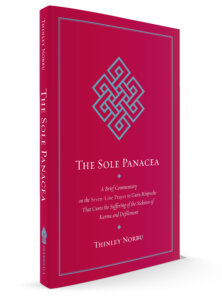 Sole Panacea 2021 Sole Panacea 2021