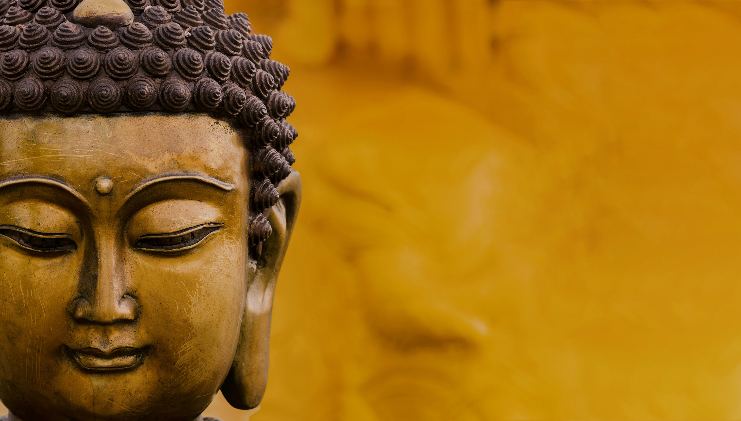 Lojong / Mind Training Reader’s Guide