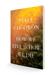 How We Live is How We Die No spine How We Live Is How We Die