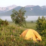 Books to Bring When You Go Camping