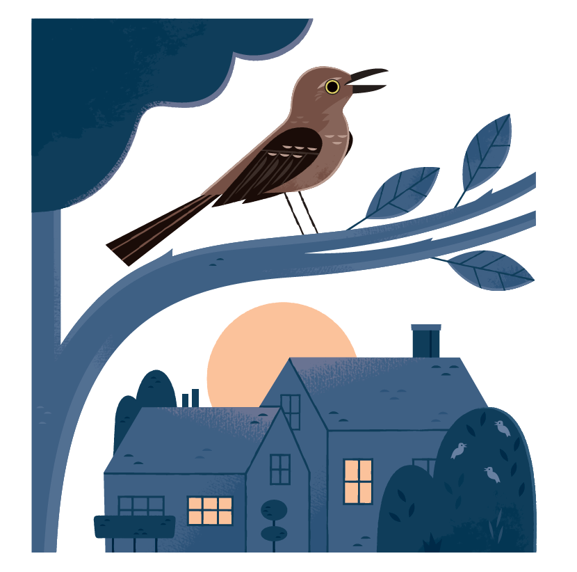 ACTIVITY: “Dawn Chorus” from I Love Birds! by Jennifer Ward