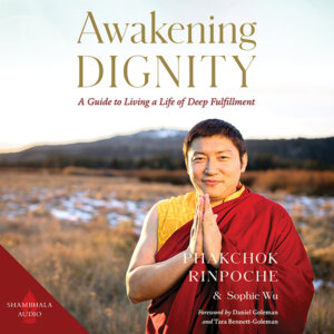 Awakening Dignity - Audio