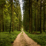 Personal Development Books in 2022